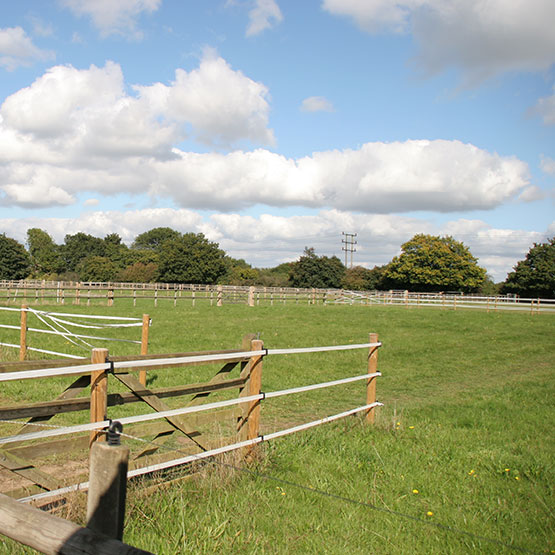 Oaklyn Stables Horse Stables for Rent in Colchester