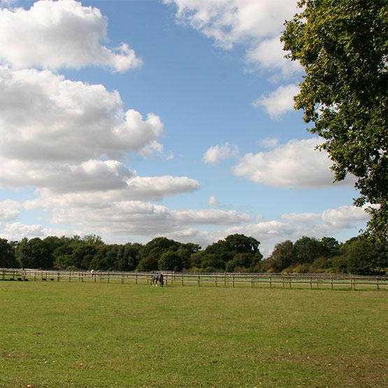 Oaklyn Stables Horse Stables for Rent in Colchester