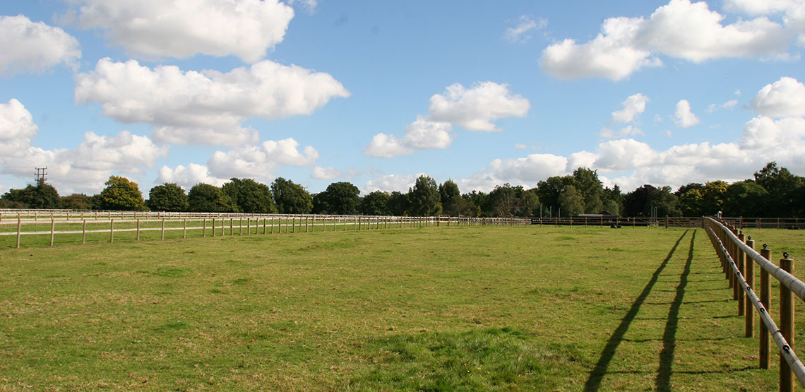 Oaklyn Stables Horse Stables for Rent in Colchester