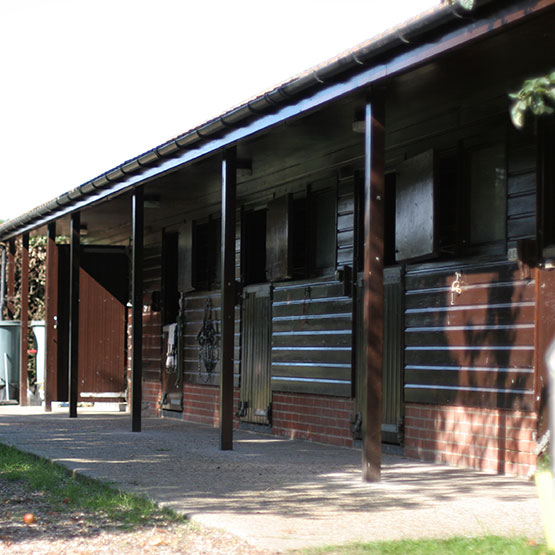 Oaklyn Stables Horse Stables for Rent in Colchester